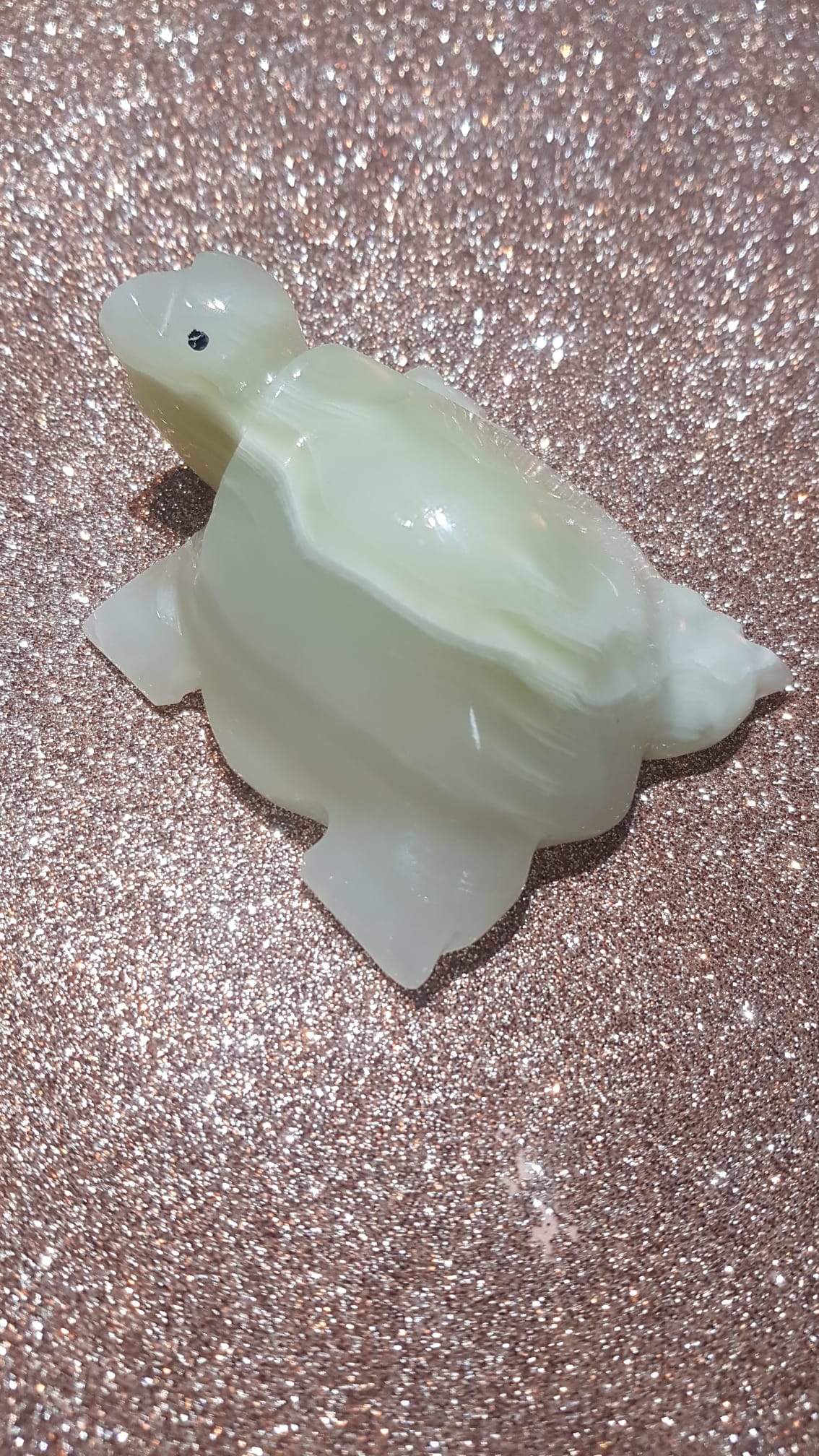 Tartaruga Jade Africana