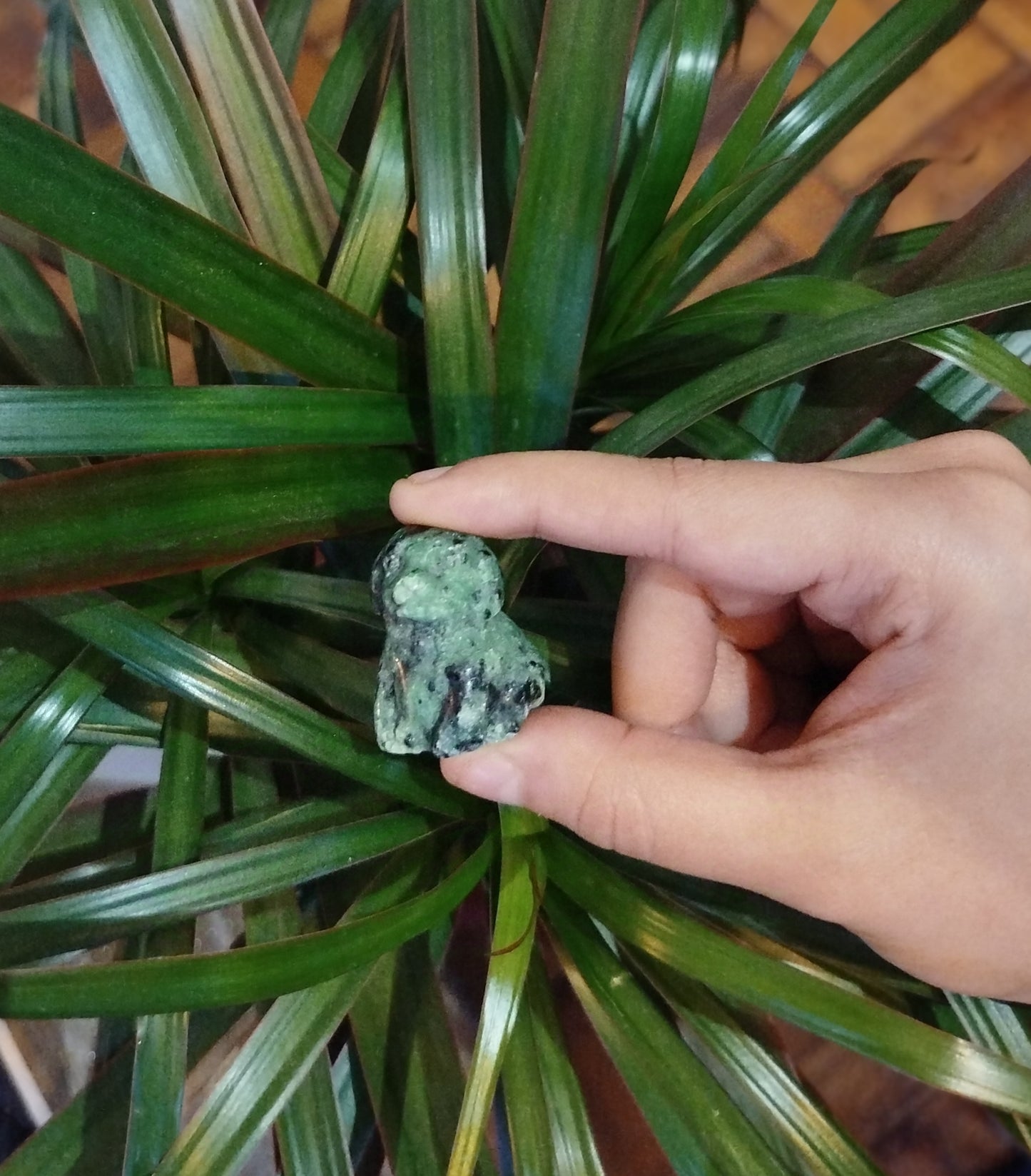 Cão em Pedra Natural