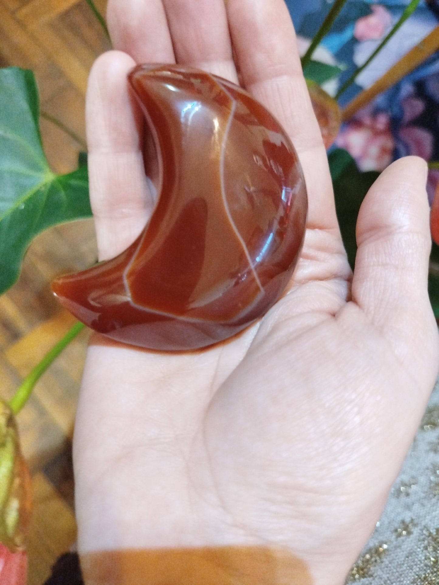 Lua Cornalina