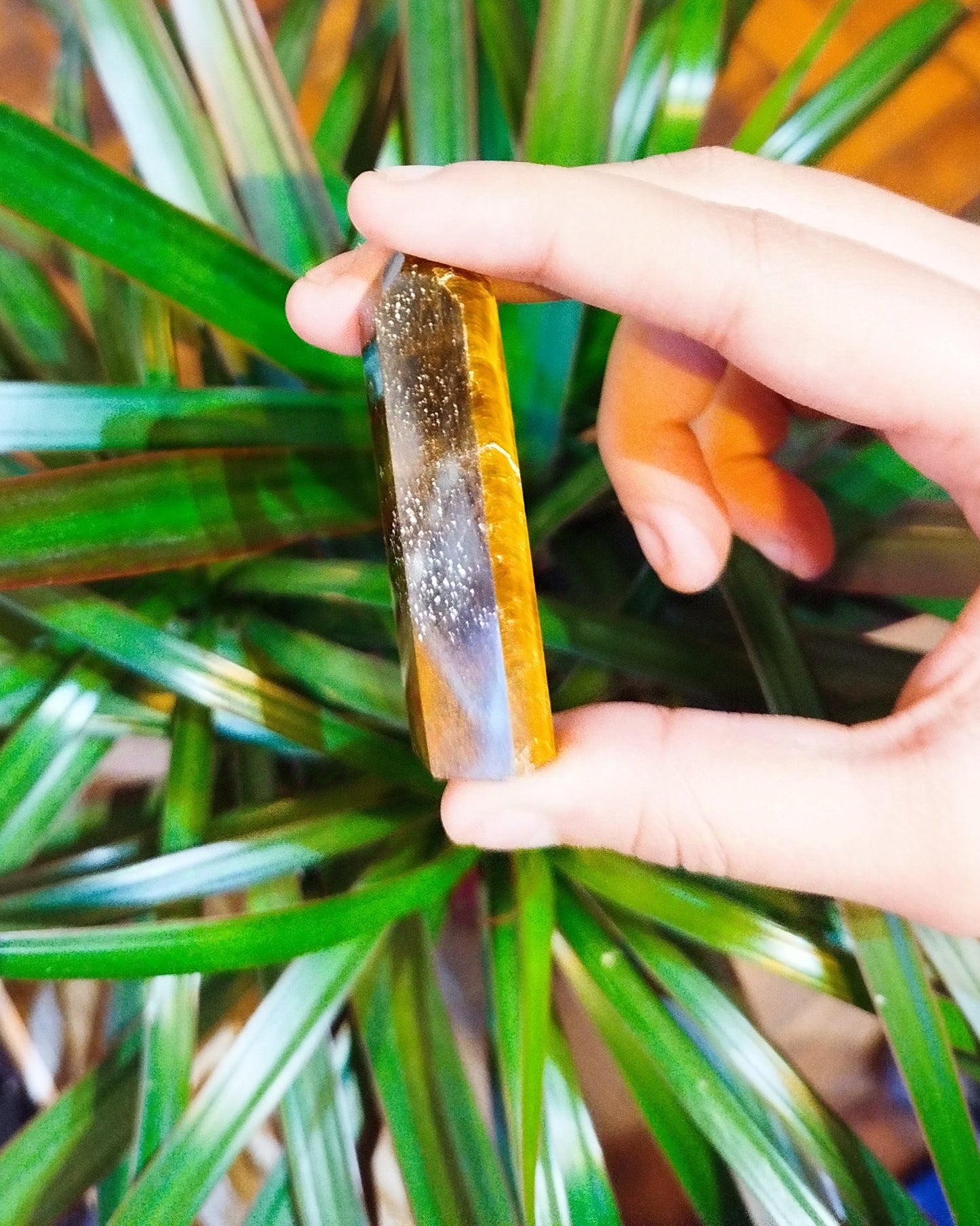 Gerador Olho de Tigre