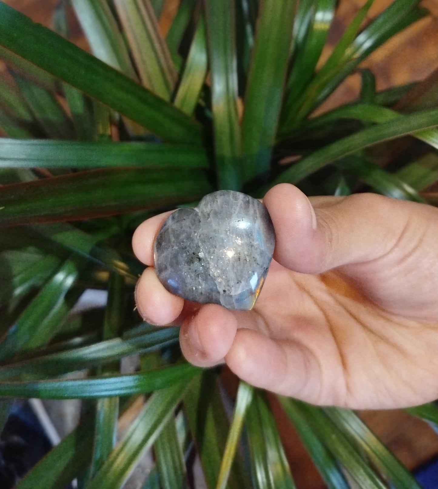 Coração Labradorite
