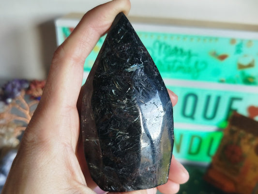 Pedra Astrofilita