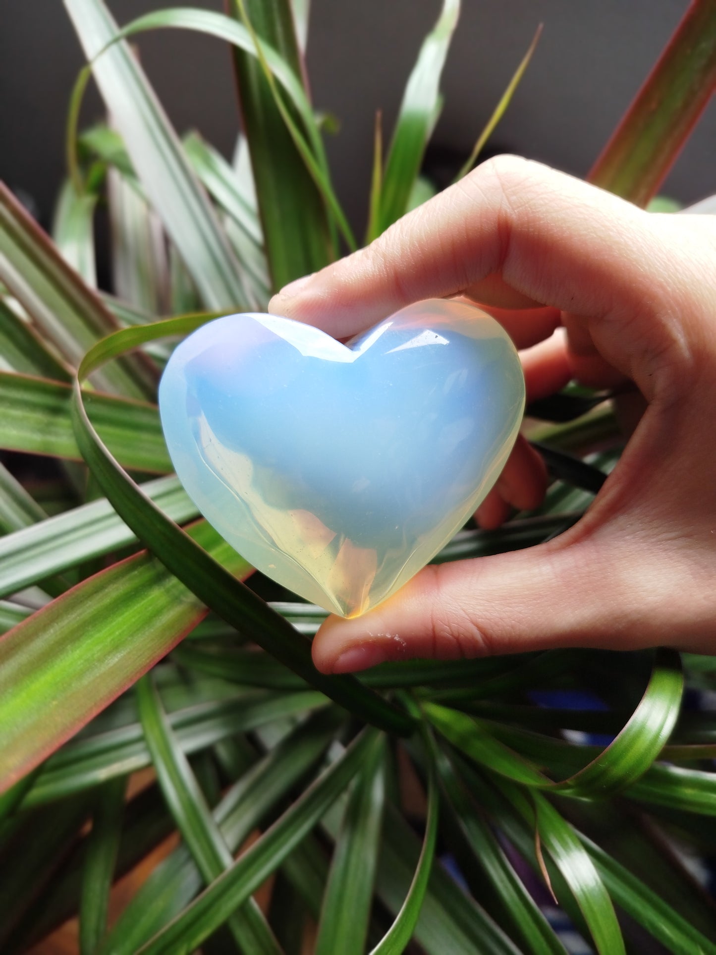 Coração Opala Branca