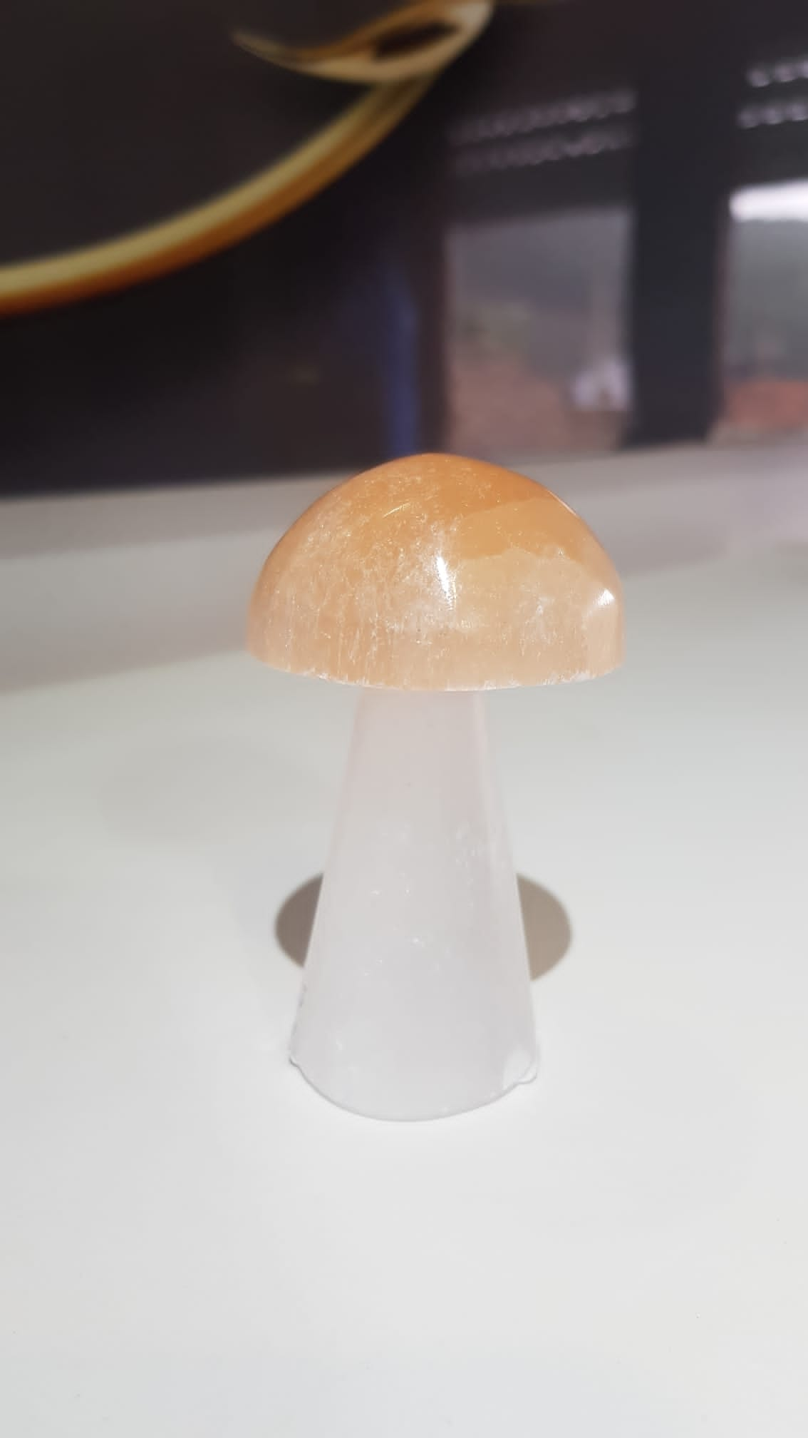 Selenite Cogumelo